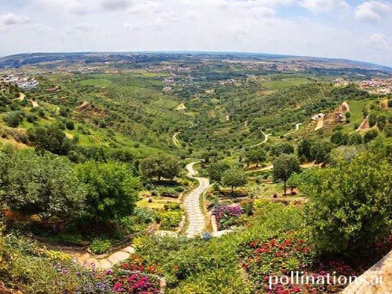 Malta Mosta's Wied Speranza Valley major rehabilitation project completed