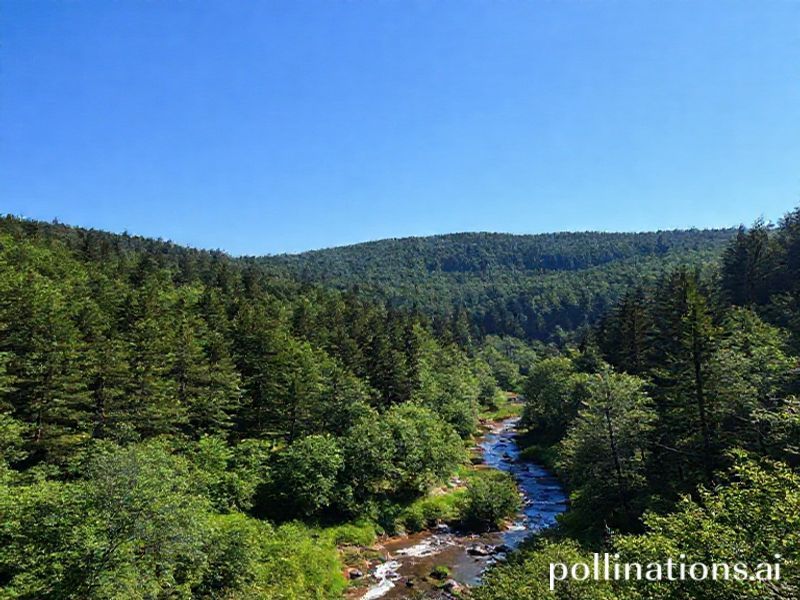 Malta Art: Finding peace in ‘naturescapes’