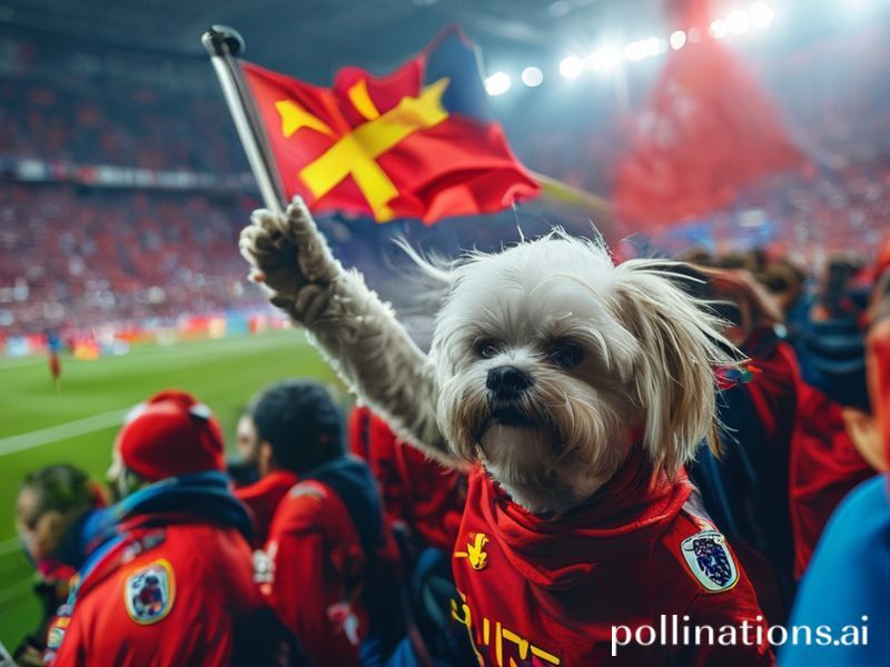 Malta Man Utd vs Man City match to feature a Maltese touch